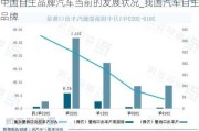 中国自主品牌汽车当前的发展状况_我国汽车自主品牌