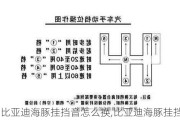 比亚迪海豚挂挡音怎么换,比亚迪海豚挂挡