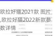 欧拉好猫2021款 图片,欧拉好猫2022新款参数详情