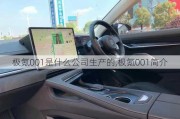 极氪001是什么公司生产的,极氪001简介