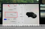 特斯拉哨兵模式是什么意思啊-特斯拉哨兵模式是所有车都有吗