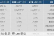 唐dmi参数表_唐 dmi参数