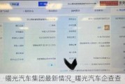 曙光汽车集团最新情况_曙光汽车企查查