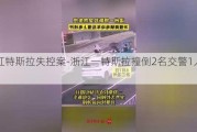 浙江特斯拉失控案-浙江一特斯拉撞倒2名交警1人殉职