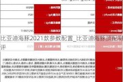 比亚迪海豚2021款参数配置_比亚迪海豚顶配测评