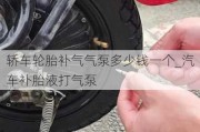 轿车轮胎补气气泵多少钱一个_汽车补胎液打气泵