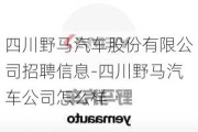 四川野马汽车股份有限公司招聘信息-四川野马汽车公司怎么样