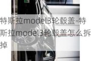 特斯拉model3轮毂盖-特斯拉model3轮毂盖怎么拆掉