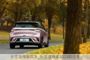 比亚迪海豚现车_比亚迪海豚2023款交车