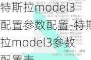 特斯拉model3配置参数配置-特斯拉model3参数配置表