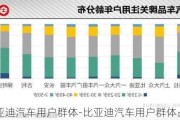 比亚迪汽车用户群体-比亚迪汽车用户群体占比