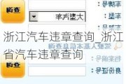 浙江汽车违章查询_浙江省汽车违章查询