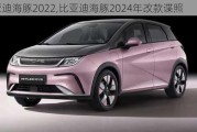 比亚迪海豚2022,比亚迪海豚2024年改款谍照