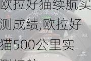 欧拉好猫续航实测成绩,欧拉好猫500公里实测续航