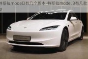 特斯拉model3有几个版本-特斯拉model 3有几款车型