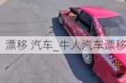 漂移 汽车_牛人汽车漂移