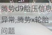 腾势d9胎压信息异常,腾势x轮胎问题