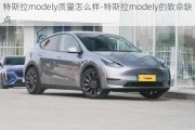 特斯拉modely质量怎么样-特斯拉modely的致命缺点