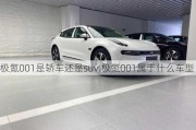 极氪001是轿车还是suv,极氪001属于什么车型