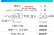 比亚迪海豚骑士版配置表_比亚迪海豚配置公布