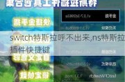 switch特斯拉呼不出来,ns特斯拉插件快捷键