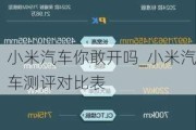 小米汽车你敢开吗_小米汽车测评对比表