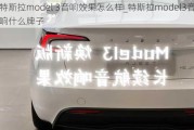 特斯拉model 3音响效果怎么样_特斯拉model3音响什么牌子