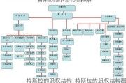 特斯拉的股权结构_特斯拉的股权结构图