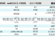 特斯拉汽车股票历史_特斯拉股价历史新高