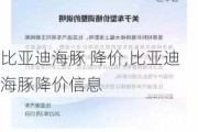 比亚迪海豚 降价,比亚迪海豚降价信息