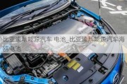 比亚迪新能源汽车 电池_比亚迪新能源汽车海鸥电池