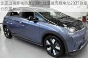 比亚迪海豚电动2023款_比亚迪海豚电动2023款报价及图片