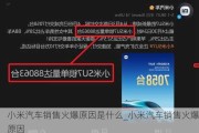 小米汽车销售火爆原因是什么_小米汽车销售火爆原因