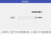 上海市小型汽车违章查询-上海车子违章查询