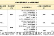 比亚迪海豚降价信息_比亚迪海豚2021款落地价