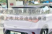 比亚迪海豚赛道版什么时候上市,比亚迪海豚赛道版