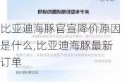 比亚迪海豚官宣降价原因是什么,比亚迪海豚最新订单