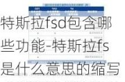 特斯拉fsd包含哪些功能-特斯拉fs是什么意思的缩写