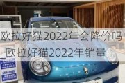 欧拉好猫2022年会降价吗_欧拉好猫2022年销量