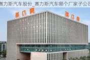 赛力斯汽车股份_赛力斯汽车哪个厂家子公司