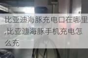 比亚迪海豚充电口在哪里,比亚迪海豚手机充电怎么充