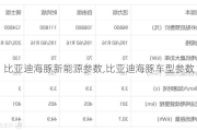 比亚迪海豚新能源参数,比亚迪海豚车型参数