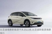 比亚迪海豚新能源汽车2022款,比亚迪新能源海豚报价