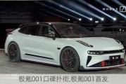 极氪001口碑扑街,极氪001首发