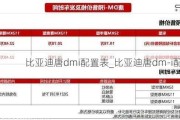 比亚迪唐dmi配置表_比亚迪唐dm-i配置表