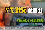 比亚迪为什么突然火了-比亚迪为什么突然火了 知乎