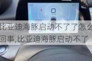 比亚迪海豚启动不了了怎么回事,比亚迪海豚启动不了