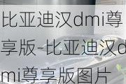 比亚迪汉dmi尊享版-比亚迪汉dmi尊享版图片