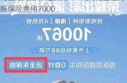 比亚迪海豚保险费用7000多,比亚迪海豚保险费用7000