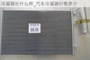 汽车冷凝器长什么样_汽车冷凝器价格多少